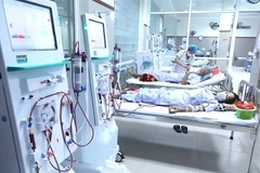 Patients undergo dialysis for diabetes complications. Vietnam faces a public health crisis as diabetes cases triple since 2000, with over half undiagnosed. (Photo: VNA)