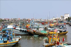 Fishing vessels are anchored along the Ca Ty river in Lam Dong, waiting to refuel and prepare for their next offshore trip. (Photo: VNA)