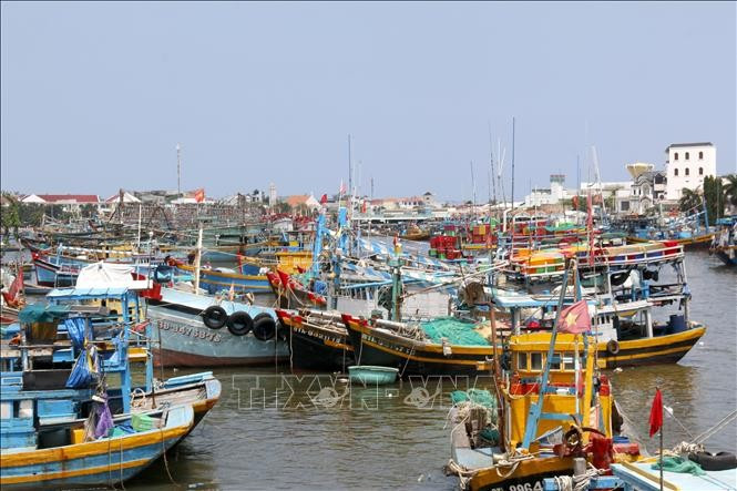 Fishing vessels are anchored along the Ca Ty river in Lam Dong, waiting to refuel and prepare for their next offshore trip. (Photo: VNA)