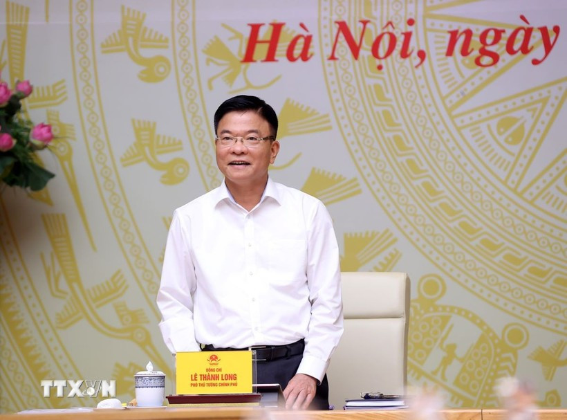 Deputy Prime Minister Le Thanh Long (Photo: VNA)
